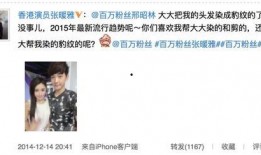 爆料歌手出轨视频大全,揭秘歌手出轨视频大全